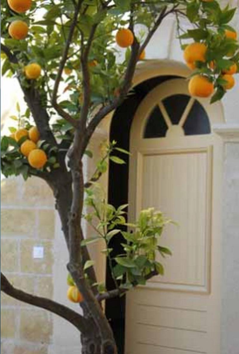 Pézenas Les Galeries De Beaulac المظهر الخارجي الصورة